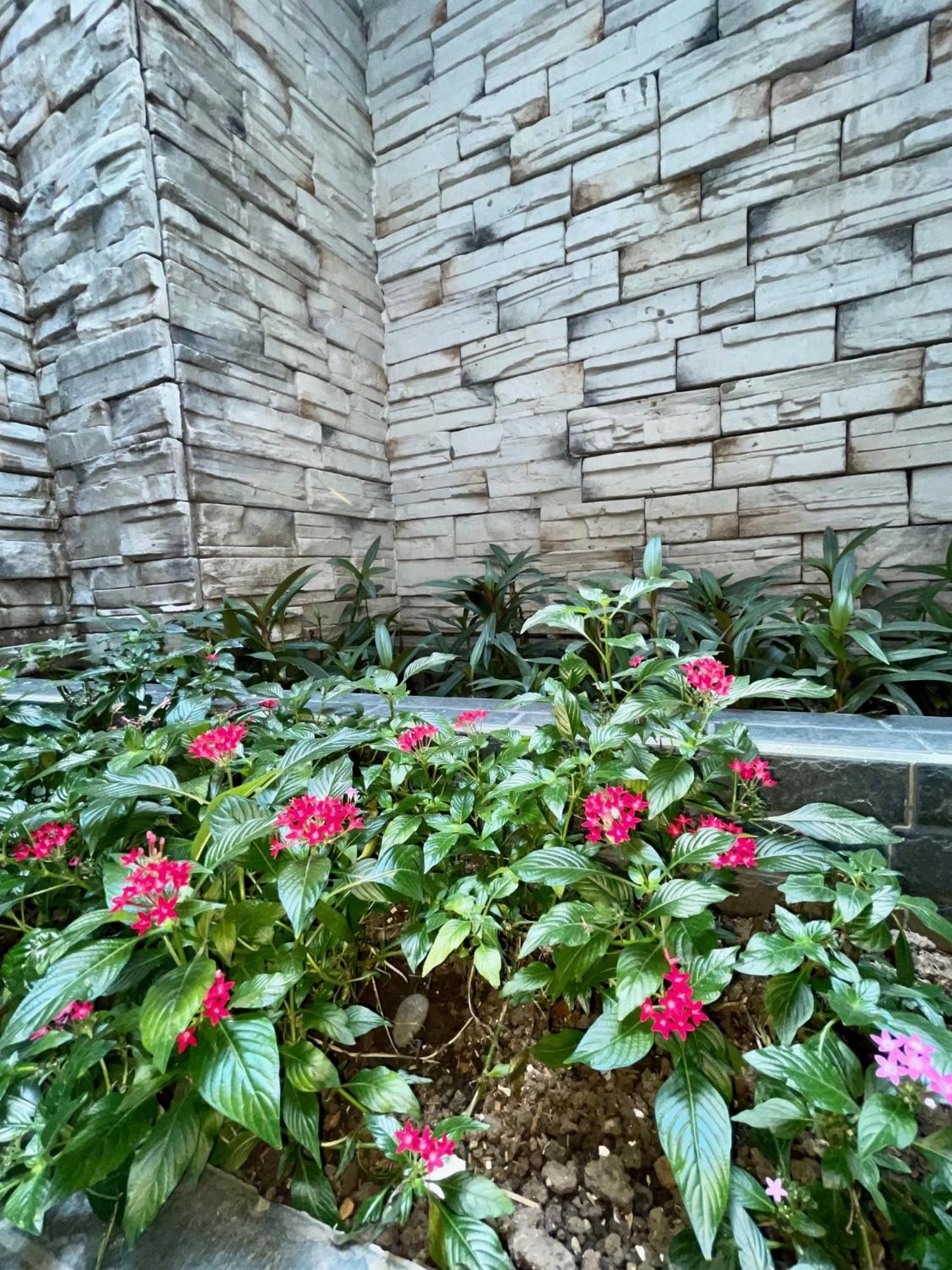 Hotel Simon 메딜린 외부 사진